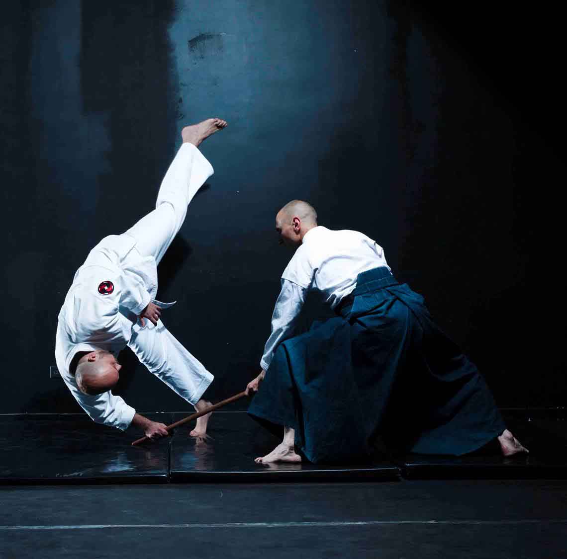 clases de aikido en bogota